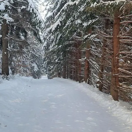 Gorskie Zacisze 3* بوروفيتسه