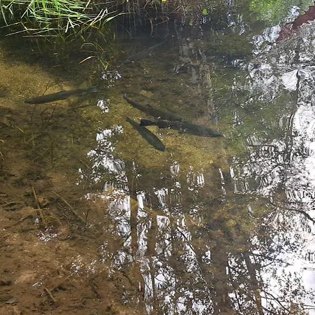 Górskie Zacisze Nocleg ze śniadaniem
