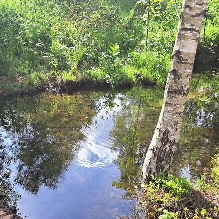 Górskie Zacisze * Borowice