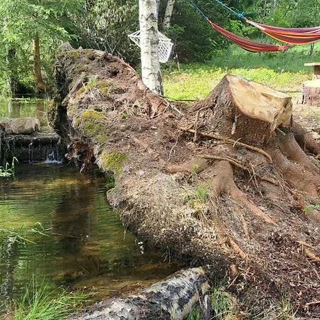 ベッド・アンド・ブレックファスト Gorskie Zacisze