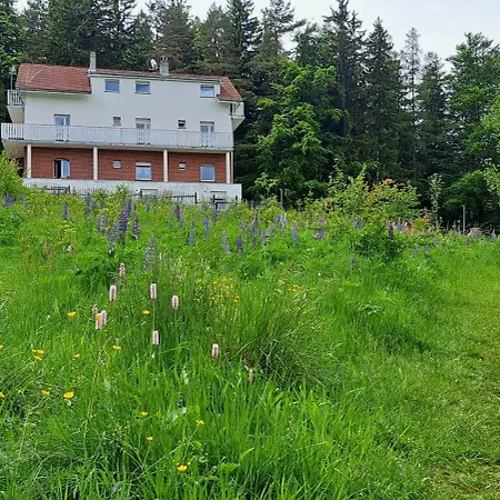 Górskie Zacisze Nocleg ze śniadaniem Borowice