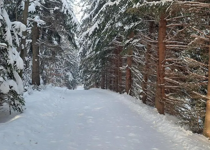 Gorskie Zacisze 3* Borowice