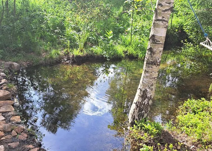 Gorskie Zacisze 3* Borowice