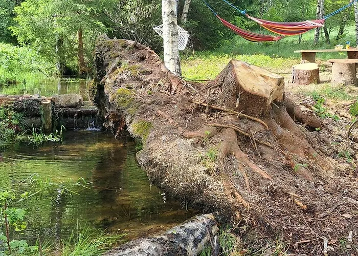 Bed & Breakfast Gorskie Zacisze