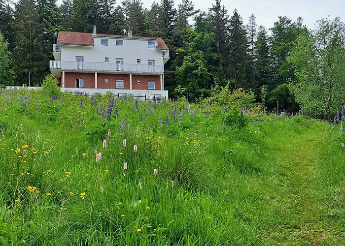 Gorskie Zacisze Bed & Breakfast Borowice