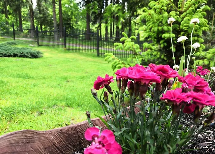 Gorskie Zacisze 3* Borowice